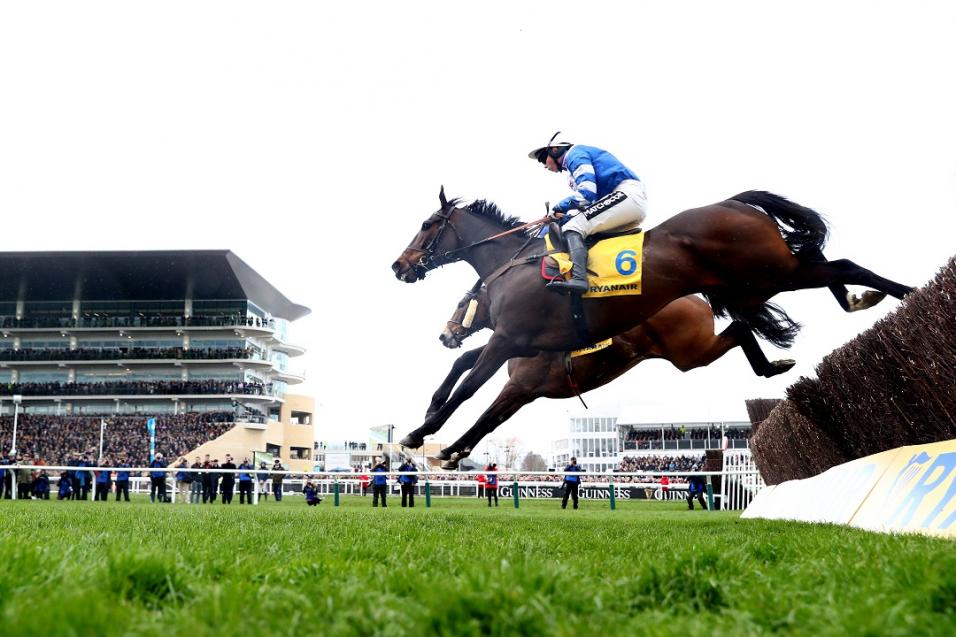 Frodon at Cheltenham